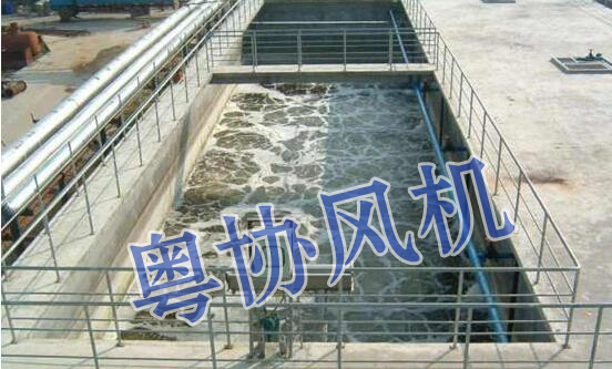 污水處理羅茨風(fēng)機(jī)