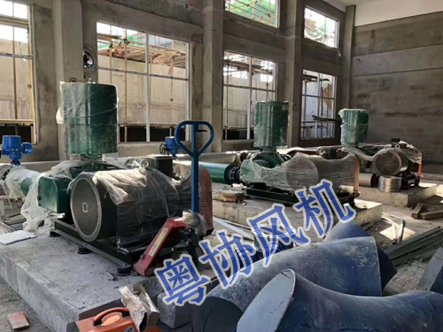 廣州污水處理羅茨風(fēng)機