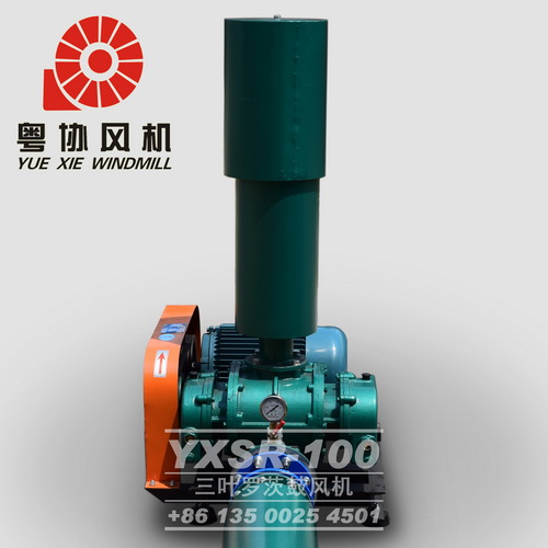 水泥廠(chǎng)用羅茨風(fēng)機(jī)