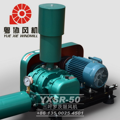 三葉型羅茨風(fēng)機(jī)維修