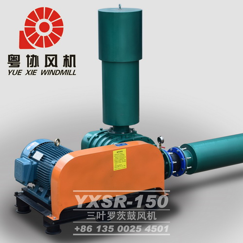物料輸送羅茨風(fēng)機