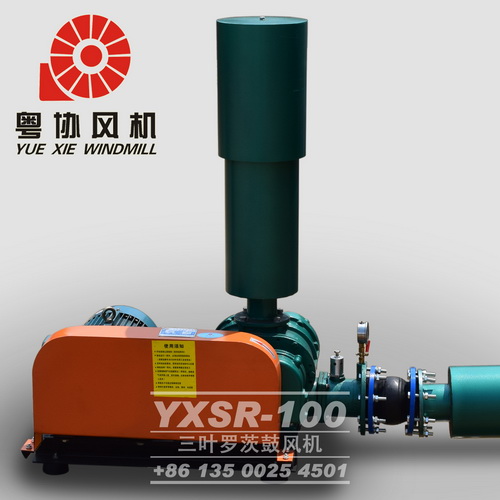 環(huán)保羅茨鼓風(fēng)機(jī)