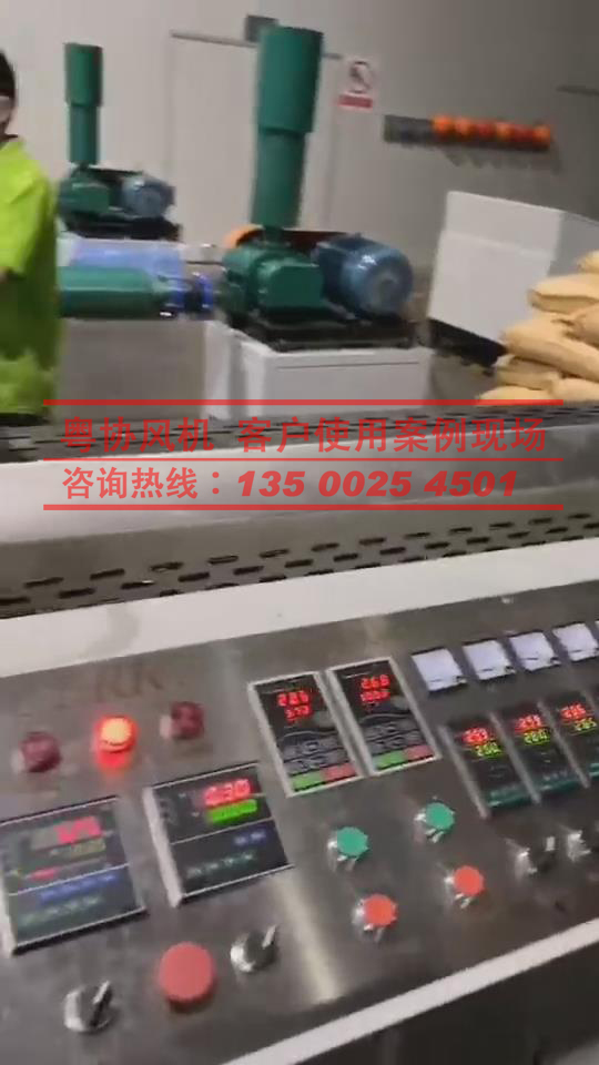 熔噴布羅茨風(fēng)機(jī)