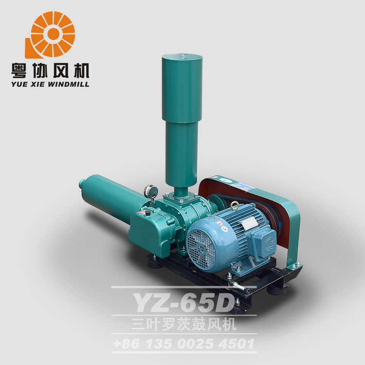 羅茨鼓風(fēng)機