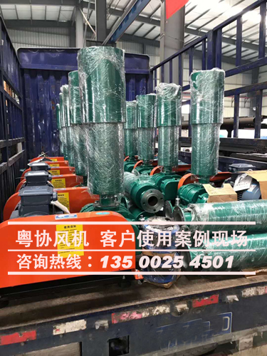三葉羅茨風(fēng)機