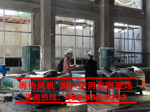 污水廠用羅茨風機現(xiàn)場案例