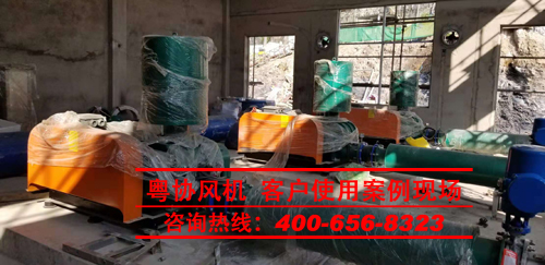 污水行業(yè)用羅茨風機案例