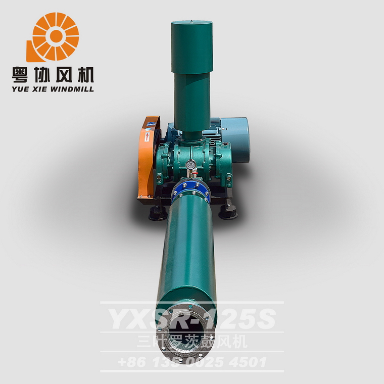 污水曝氣羅茨風(fēng)機價錢