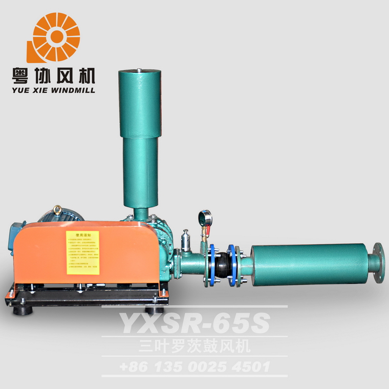 江門(mén)污水處理羅茨風(fēng)機(jī)廠家