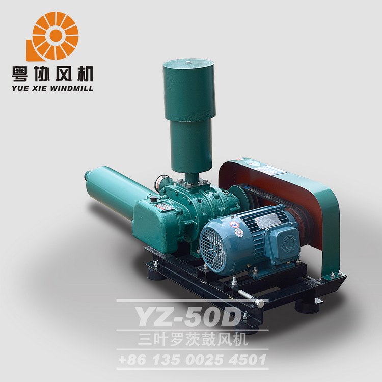 曝氣增氧羅茨風(fēng)機(jī)價(jià)格