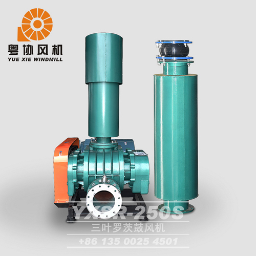 汕尾曝氣羅茨風(fēng)機(jī)廠家